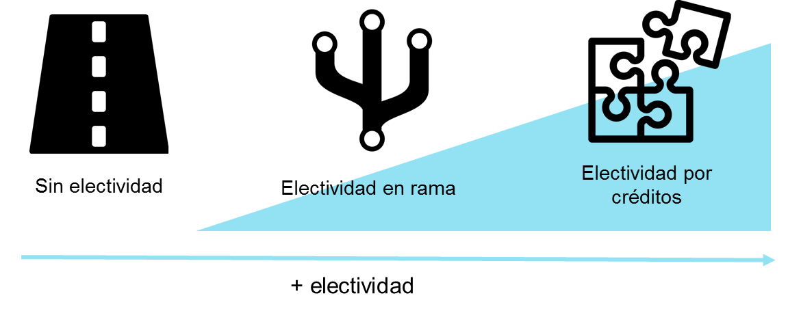 Modelos de electividad curricular