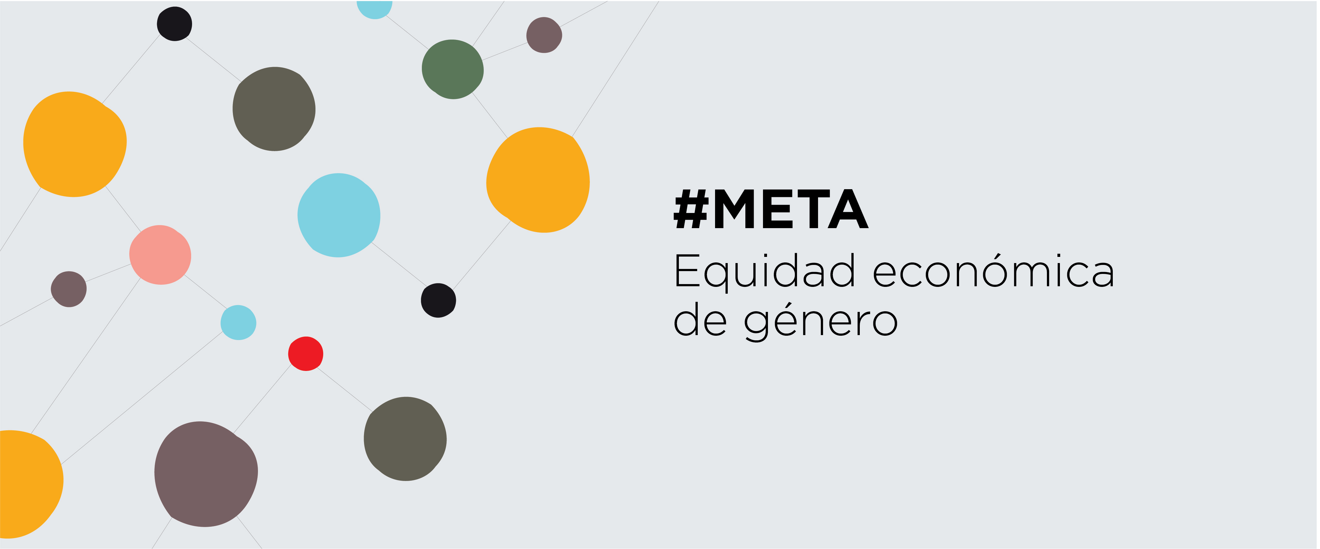 Flyer "Meta: equidad económica de género" de CIPPEC