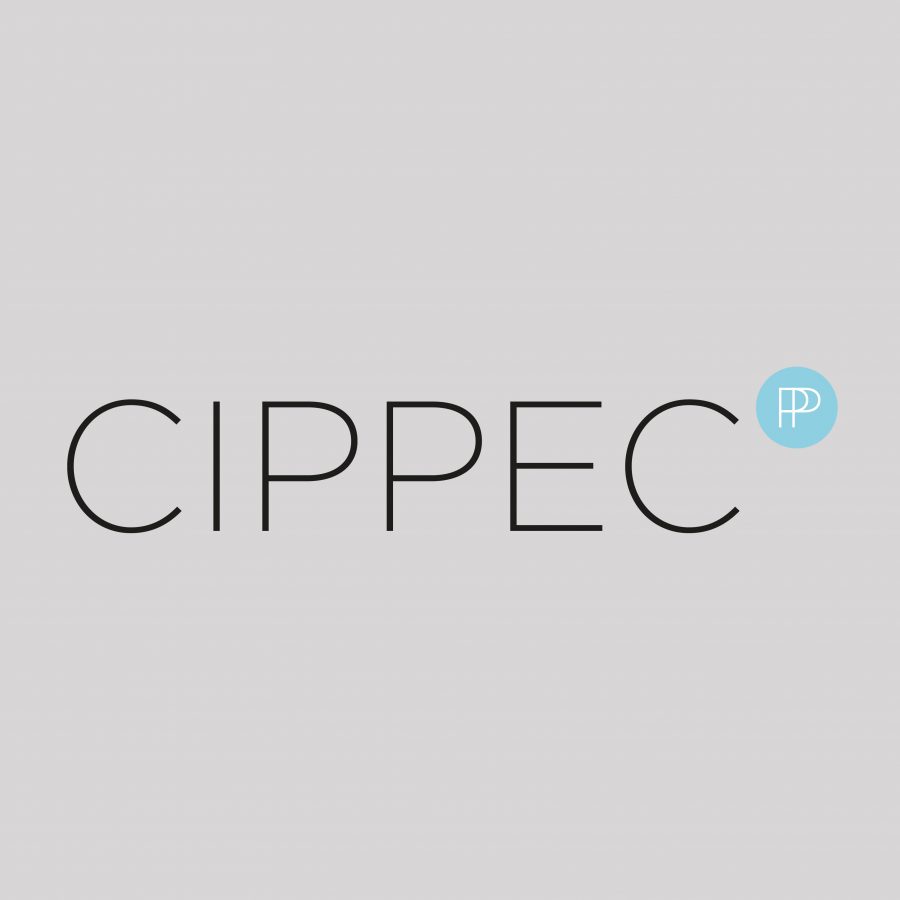 Logo Centro de Implementación de Políticas Públicas para la Equidad y el Crecimiento